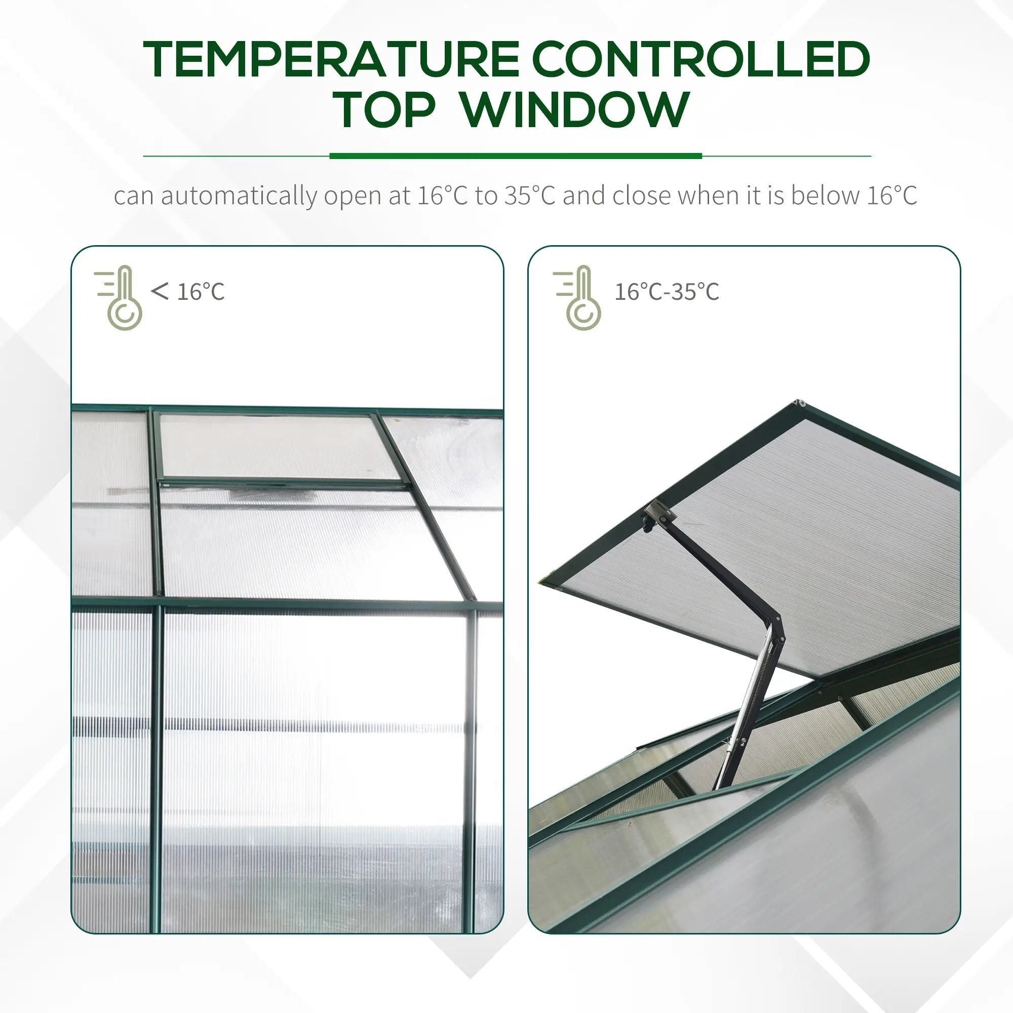 Green 6ft x 8ft Polycarbonate Greenhouse With Aluminium Frame and Temperature Controlled Window and Foundation