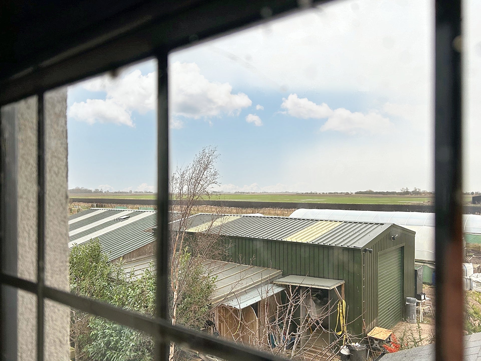 Green corrugated metal sheets from window view. barn