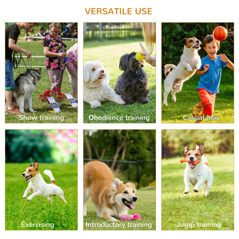 3 Piece Adjustable Pet Agility Training Set - Dog Play Equipment for Jumping, Running & Obedience (Pole, Hoop, Hurdle)