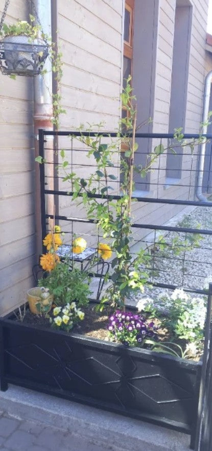 Raised Garden Bed with Trellis - Galvanised Planter Box, Diamond Pattern, Drainage Holes for Vegetables, Herbs & Flowers - 90 x 40 x 120 cm, Black