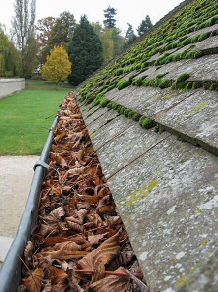 125mm Flat Sectional Gutter Guard - 2mtr length