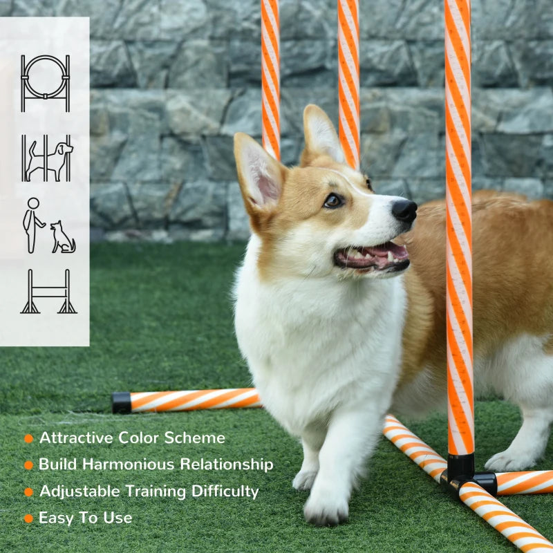 Dog Agility Training Set - Adjustable Jump Hurdles, Weave Poles, Pause Box & Carry Bag for Pet Exercise