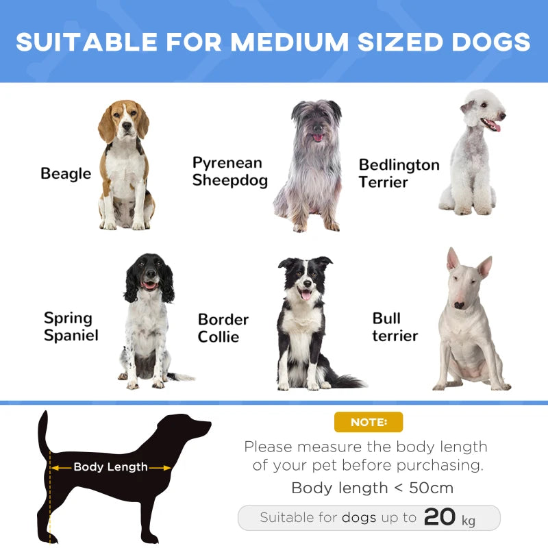 Elevated Dog Bed for Cats & Dogs - Portable Medium Camping Bed with Metal Frame - Blue Color