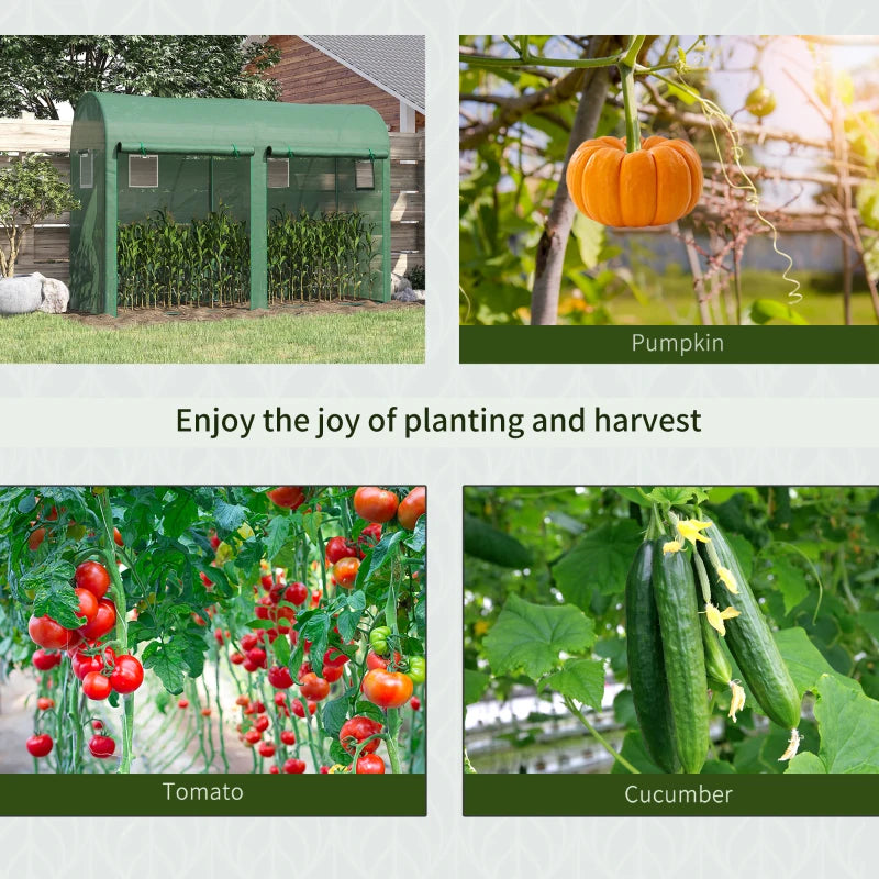 Green Tomato Plant Growth Greenhouse with Double Doors & Windows, 3x1x2m