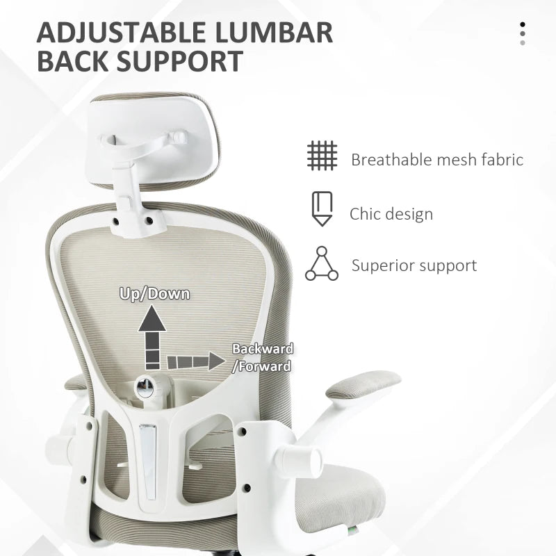 Vinsetto Ergonomic Multi-Adjustable Office Chair with Lumbar Support, Headrest & Breathable Mesh Back - Stylish Grey Design
