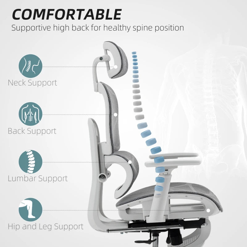 Multi-Adjustable Ergonomic Mesh Office Chair in Grey and White
