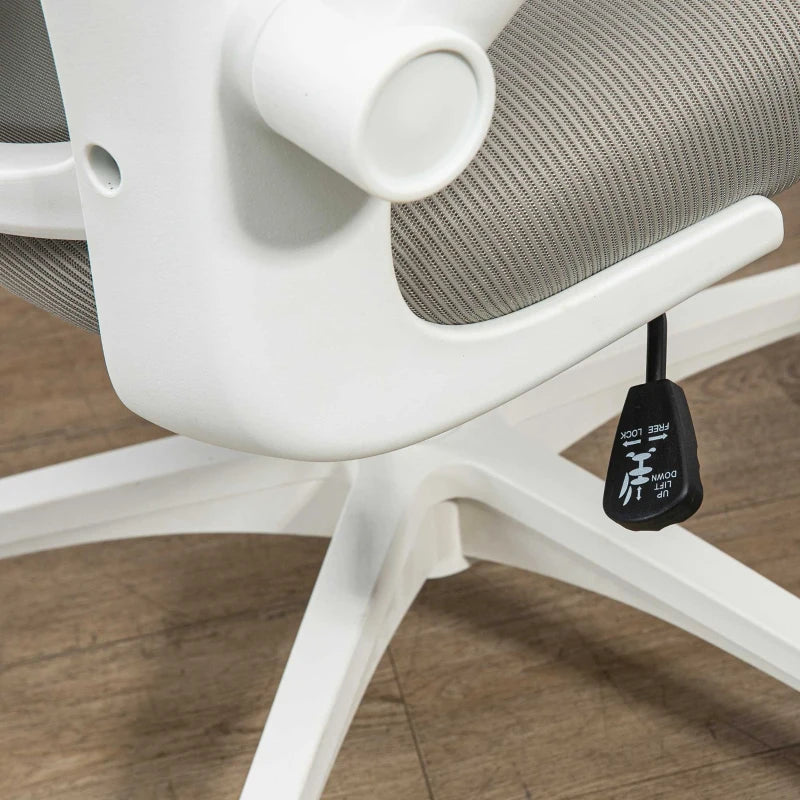 Vinsetto Ergonomic Multi-Adjustable Office Chair with Lumbar Support, Headrest & Breathable Mesh Back - Stylish Grey Design