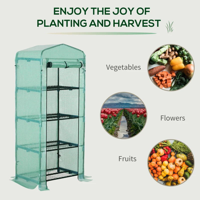 Portable Dark Green 4 Tier Mini Greenhouse with Steel Frame