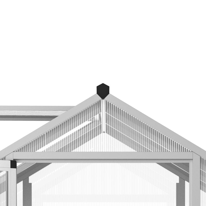 6ft x 8ft Clear Walk In Greenhouse