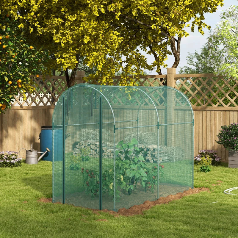 240x120cm Mini Polytunnel Greenhouse for Home Gardening