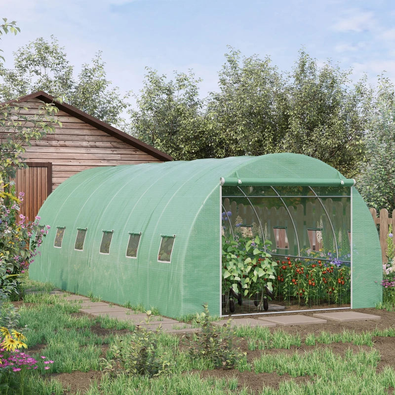 6L x 3W x 2H m Walk-in Greenhouse Polytunnel