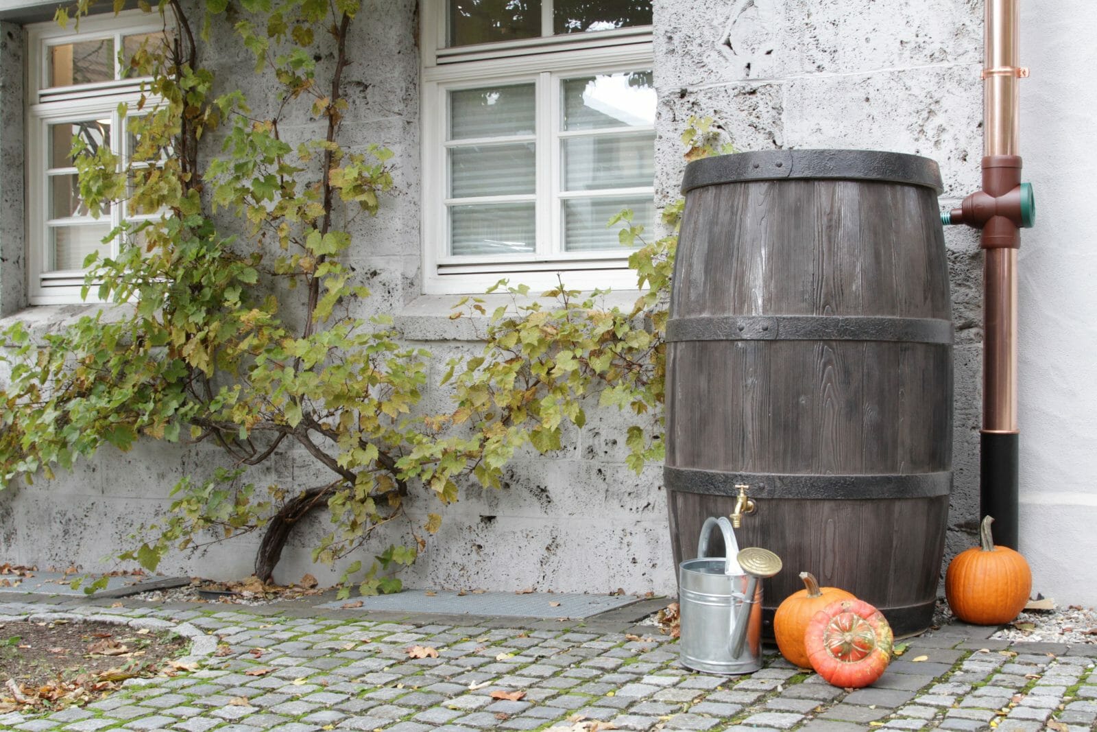 Burgundy (500 L) - Trade Warehouse