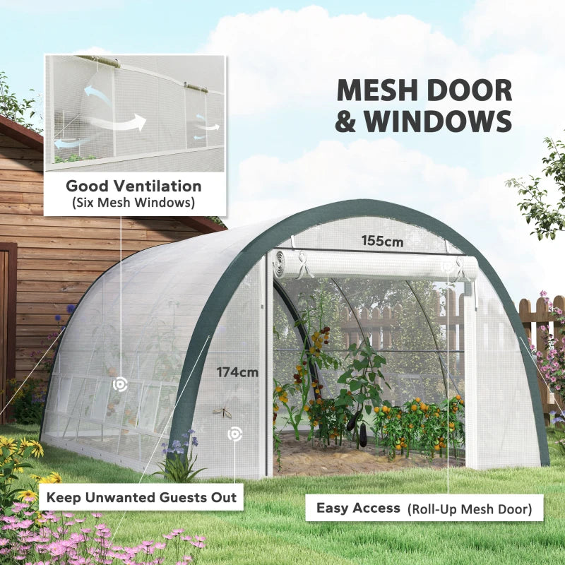 Spacious Walk-In Tunnel Greenhouse with Accessories