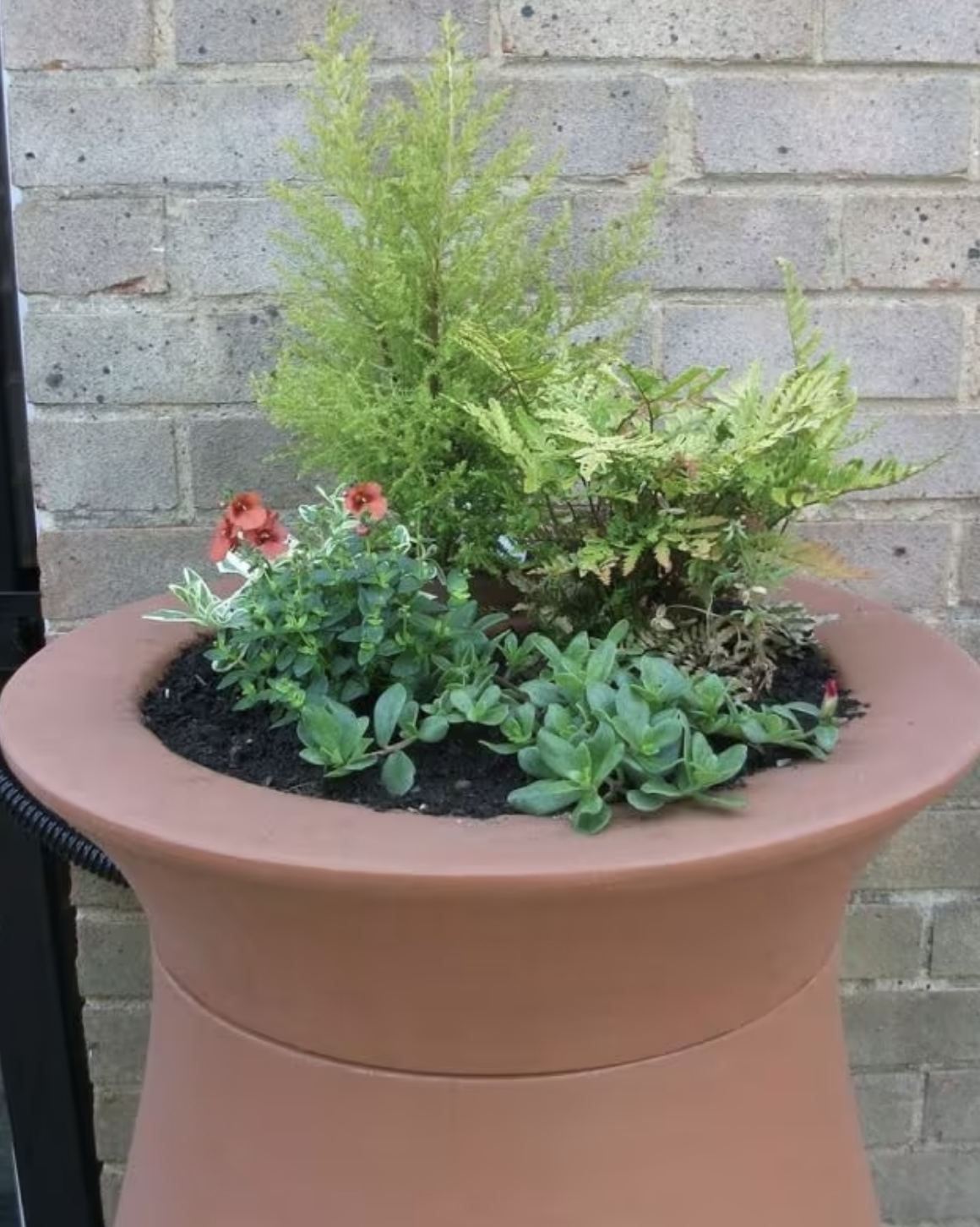 Algreen 245L Cascata Clay Effect Water Butt with Planter