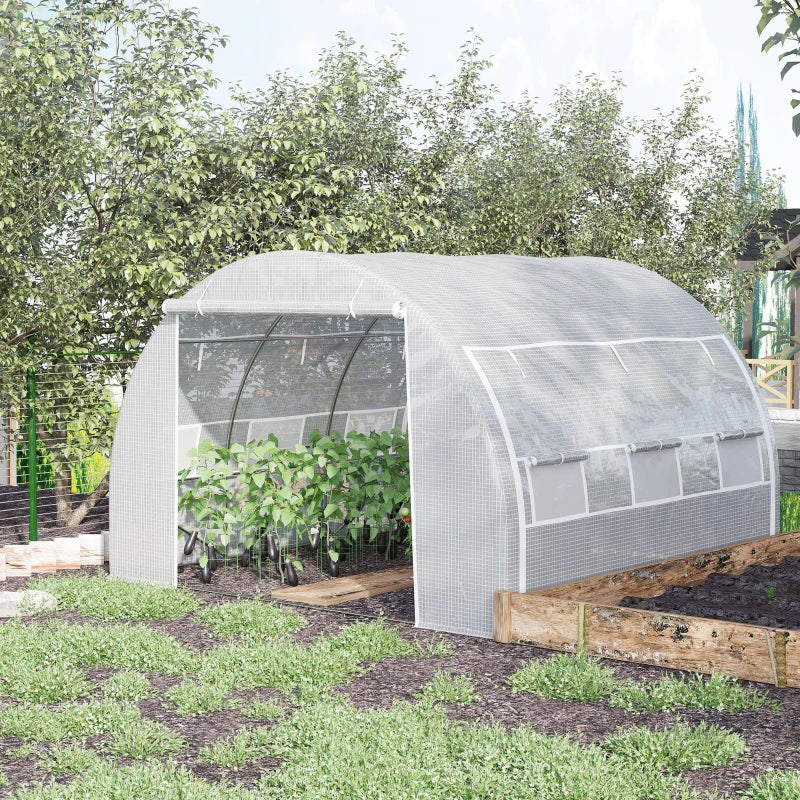 Green Walk-in Garden Greenhouse with Roll-up Walls