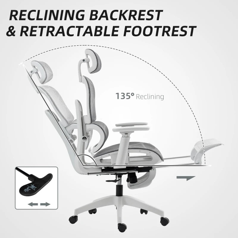 Multi-Adjustable Ergonomic Mesh Office Chair in Grey and White