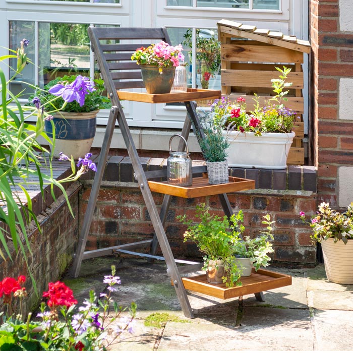 Large Alderley Plant Ladder - Vertical Garden Stand