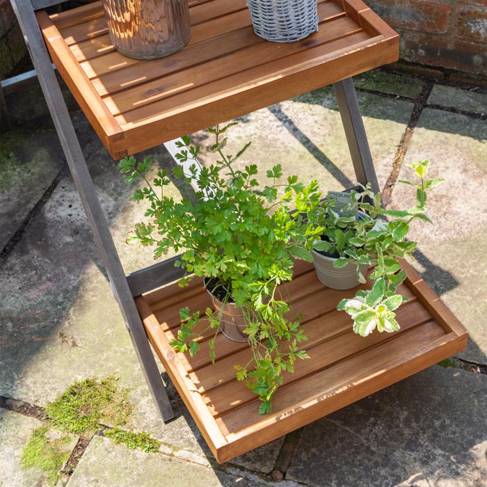 Large Alderley Plant Ladder - Vertical Garden Stand