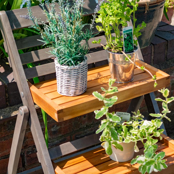 Alderley Small Plant Ladder - Vertical Garden Stand