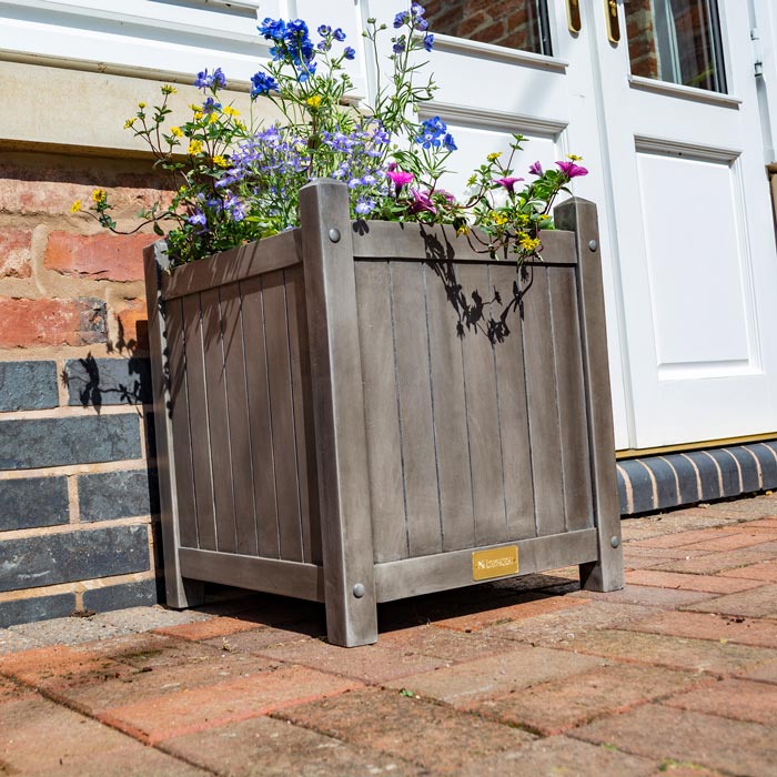 Grey Square Planter for Stylish Gardens