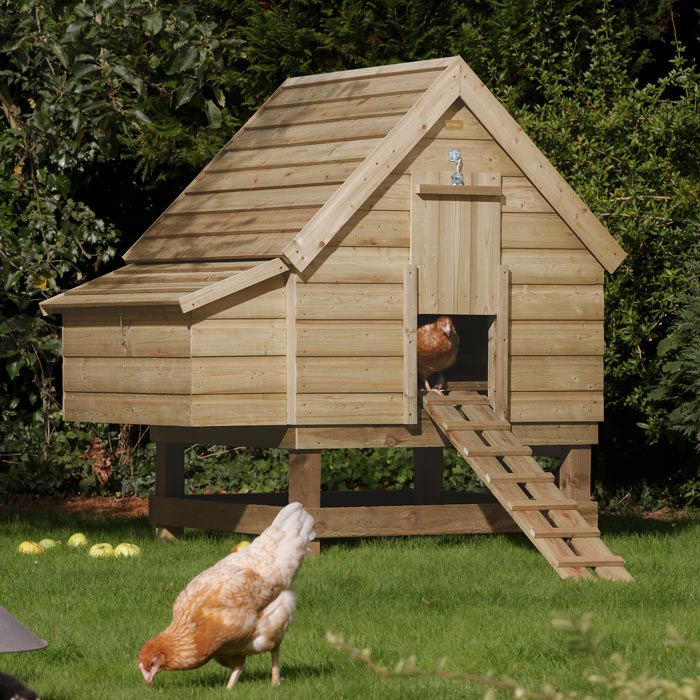 Large Chicken Coop for Happy Hens