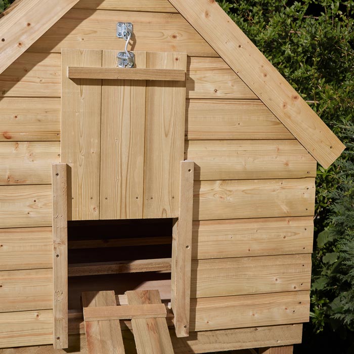 Large Chicken Coop for Happy Hens