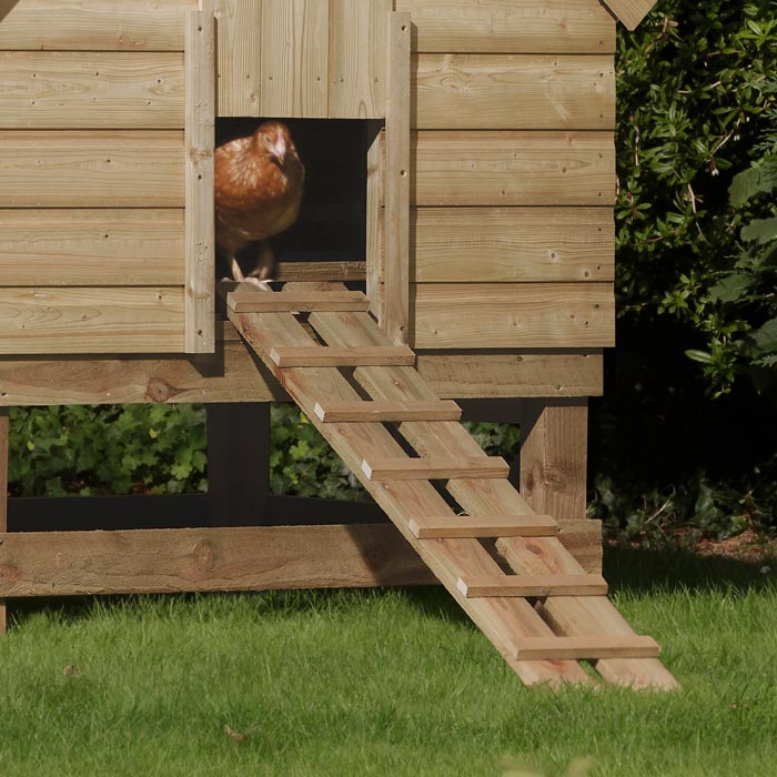 Large Chicken Coop for Happy Hens