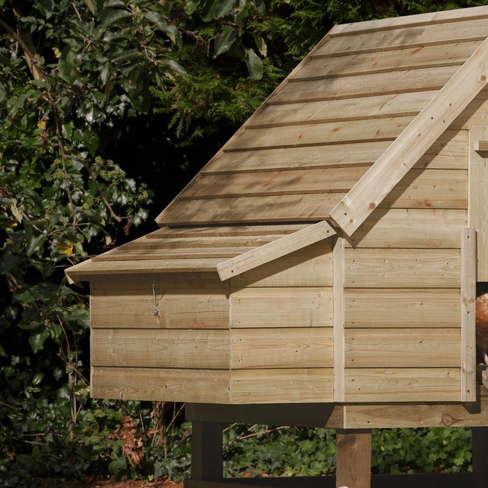 Large Chicken Coop for Happy Hens