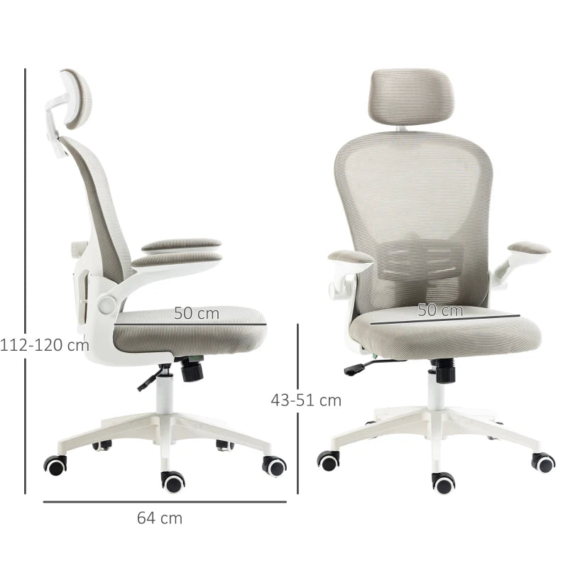 Vinsetto Ergonomic Multi-Adjustable Office Chair with Lumbar Support, Headrest & Breathable Mesh Back - Stylish Grey Design