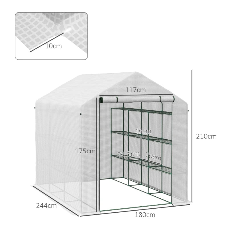 Spacious 8 x 6ft Walk-In Greenhouse with Shelves