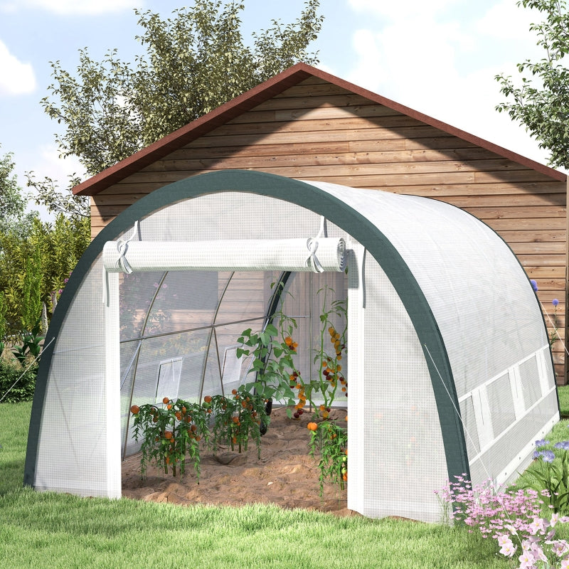 Spacious Walk-In Tunnel Greenhouse with Accessories