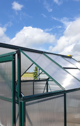 Dark Green 6x8ft Polycarbonate Walk-In Greenhouse with Slide Door and Window