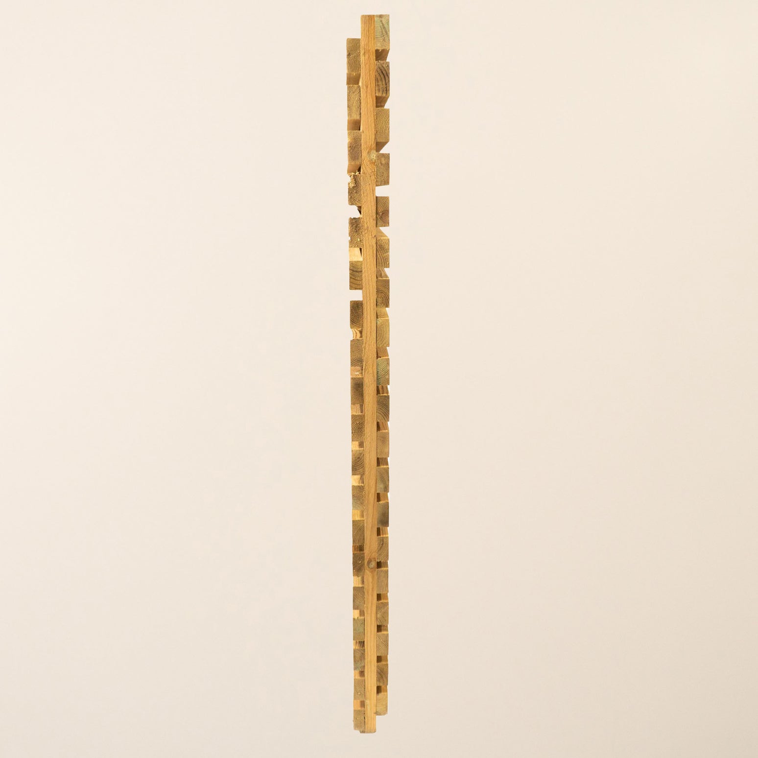 Double Sided PSE Slatted Fence Panel for Modern Garden Screening and Fencing