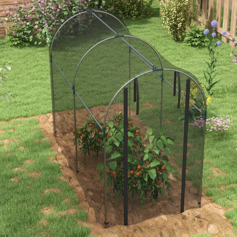 Black Steel Fruit Cage Plant Protection Tent with Zipped Door, 1.2 x 2.4 x 1.9m