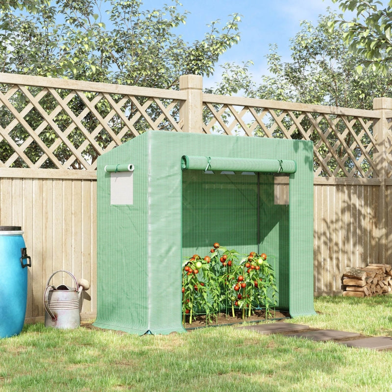 Green Walk-in Garden Greenhouse with Steel Frame