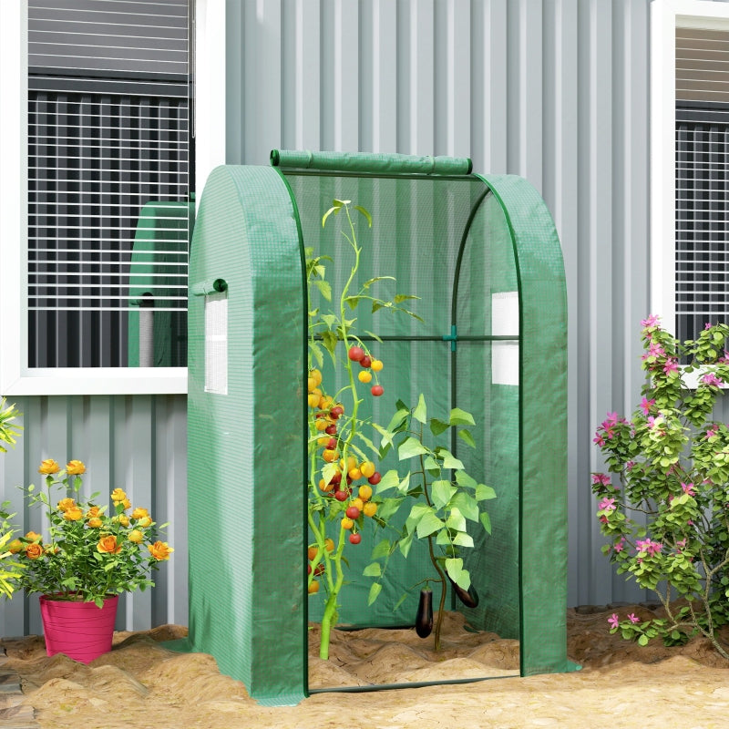 Mini Portable Greenhouse - 94 x 94cm Green Garden