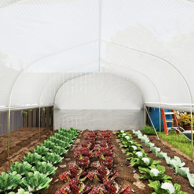 Spacious Walk-In Polytunnel Greenhouse with Zipped Sidewalls