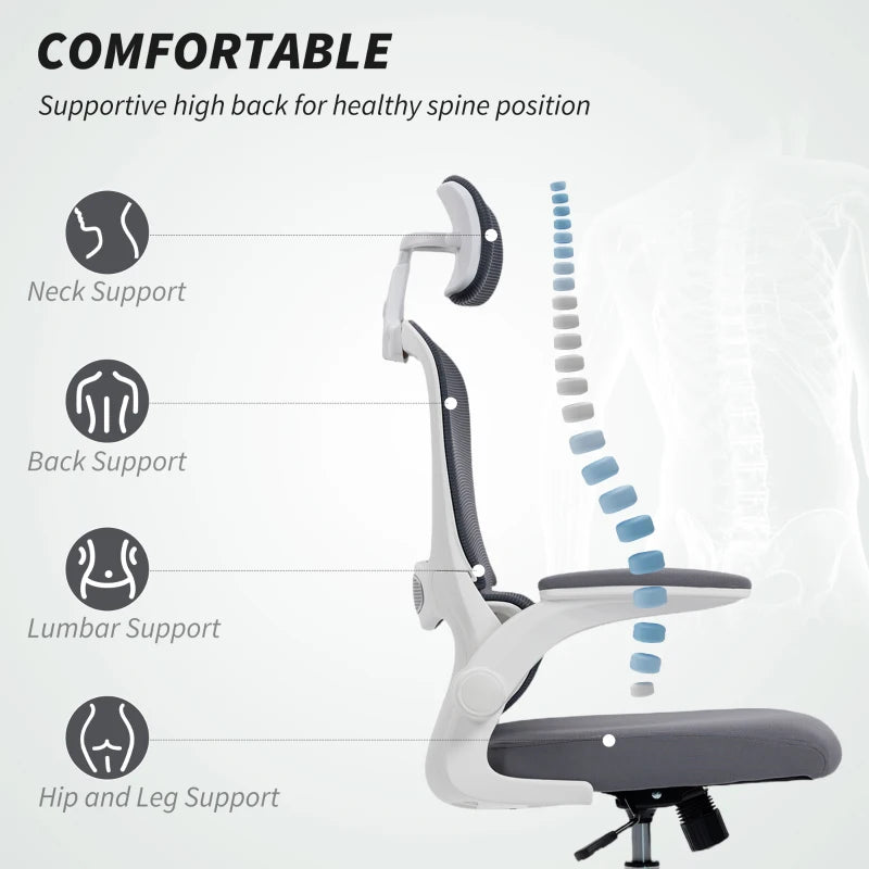 Ergonomic Mesh Back Office Chair with Lumbar Support - Stylish Charcoal Grey Design for Comfort and Productivity