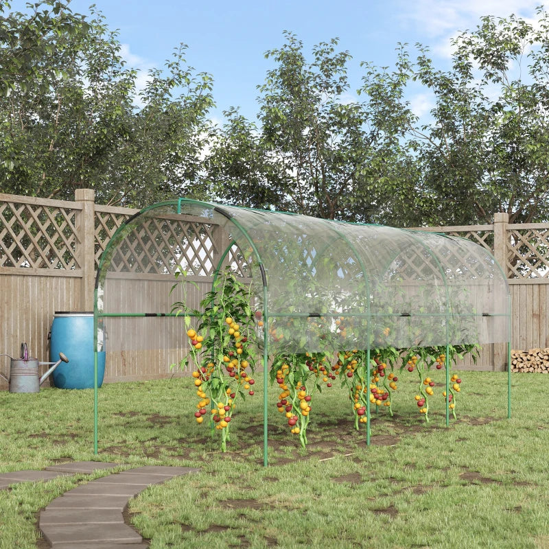 Green Tunnel Tomato Greenhouse with 4 Hoops and Guy Ropes