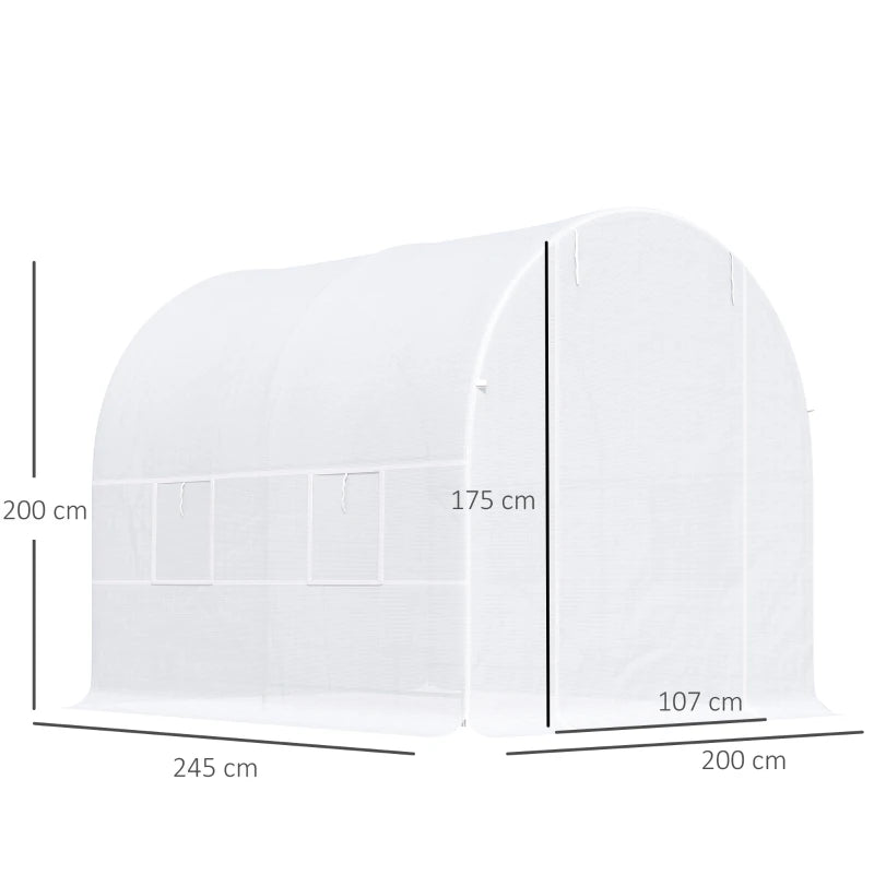 Green Walk-in Garden Greenhouse with Mesh Windows, 2.5 x 2 x 2m