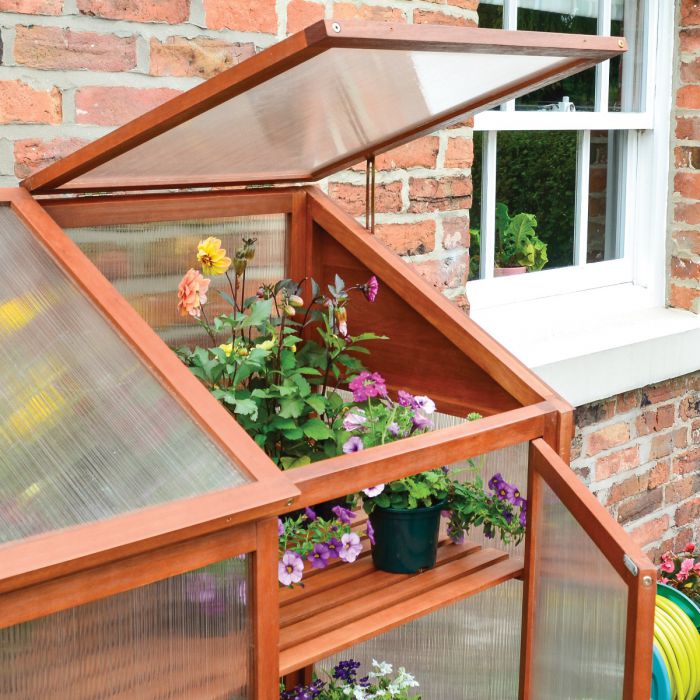 Mini Hardwood Greenhouse - Compact Design