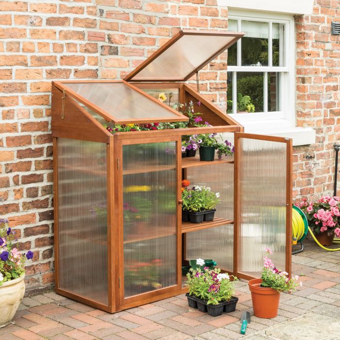 Mini Hardwood Greenhouse - Compact Design