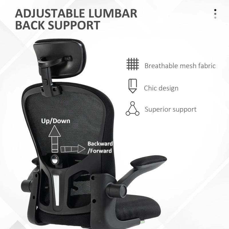 Vinsetto Ergonomic Office Chair with Adjustable Lumbar Support, Headrest & Breathable Mesh Back - Stylish Black Design