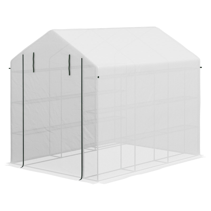 Spacious 8 x 6ft Walk-In Greenhouse with Shelves