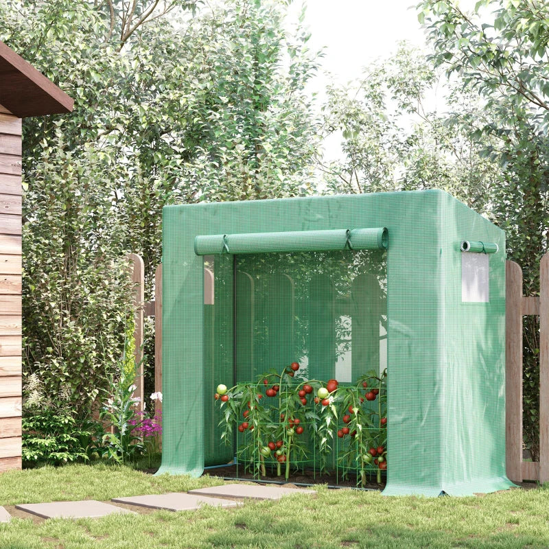 Green Walk-in Garden Greenhouse with Steel Frame