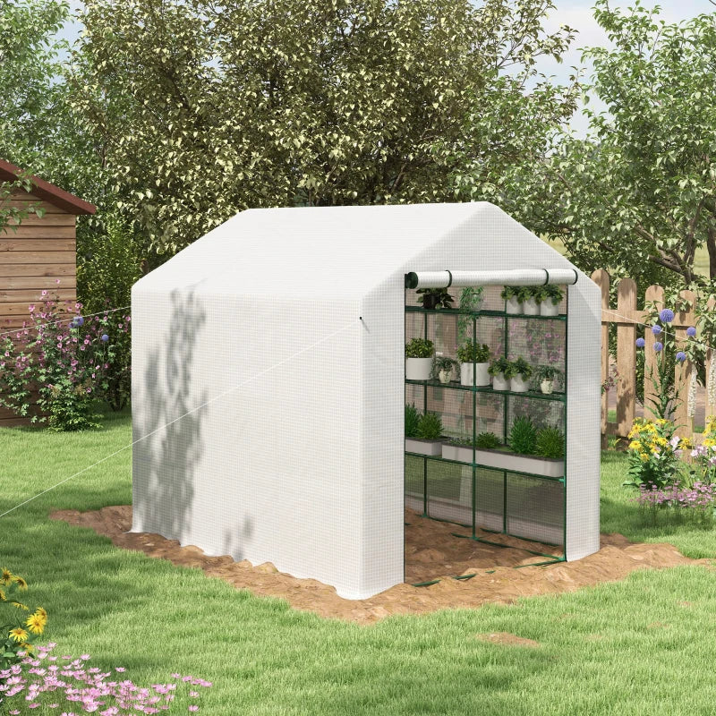 Spacious 8 x 6ft Walk-In Greenhouse with Shelves