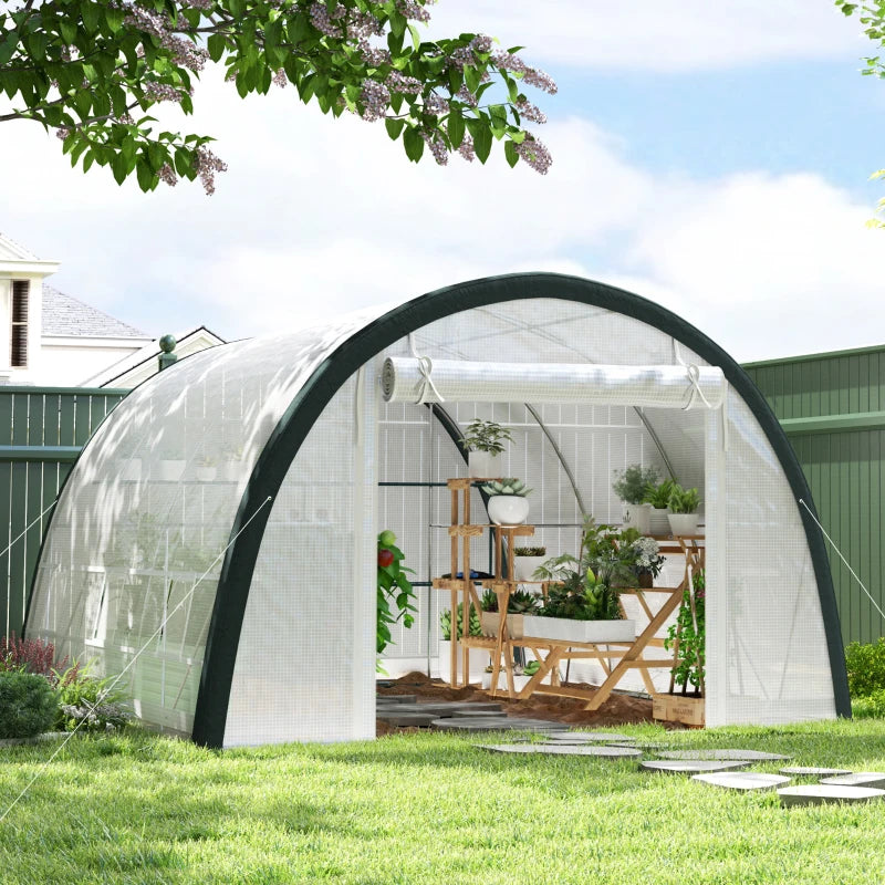 Spacious Walk-In Tunnel Greenhouse with Accessories