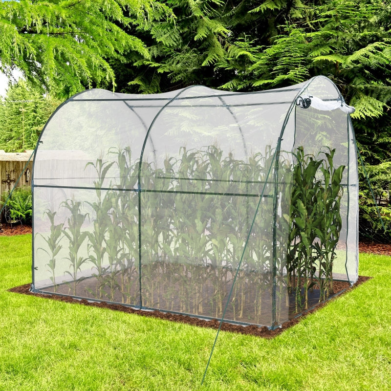 Green Walk-in Polytunnel Greenhouse, 2.5 x 2m