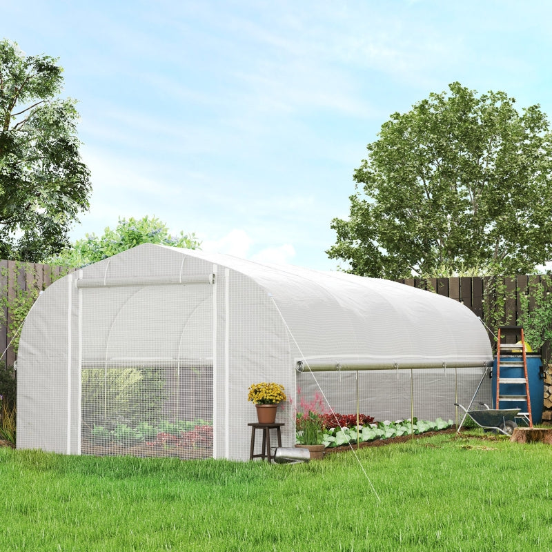 Spacious Walk-In Polytunnel Greenhouse with Zipped Sidewalls